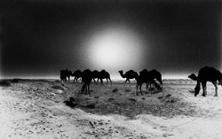 Fotografie - Fotokunst